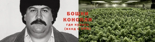 герыч Новокубанск