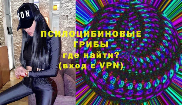 MDMA Новозыбков