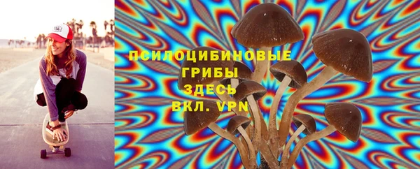MDMA Новозыбков