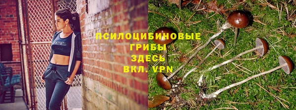 MDMA Новозыбков