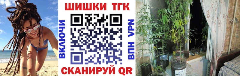 хочу наркоту  mega рабочий сайт  Марихуана ГИДРОПОН  Шарья 